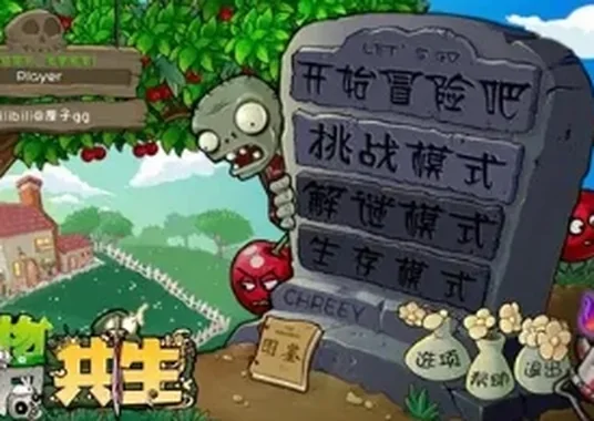 共生版植物大战僵尸 封面